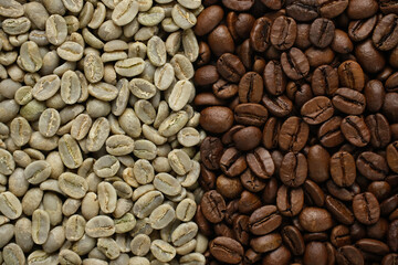 Raw and roasted coffee beans top view. Different degrees of roasting coffee beans
