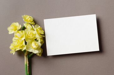 Empty greeting card mockup with yellow daffodils flowers