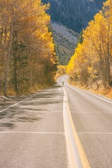Vertical shot of the main road head to June Lake during the autumn in California, United States
