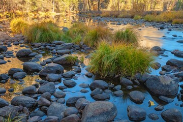 Nature landscape on the bank of a river surrounded by large rocks and cordgrasses plants
