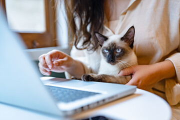 Woman working on laptop with cat sitting together. .