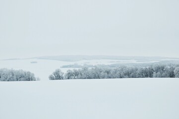 Winter landscape of a cold afternoon in Manitoba, Canada.
