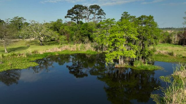 Aerial view of Fontainebleau State Park in Louisiana