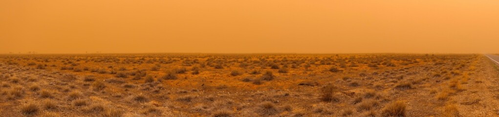 Fototapeta na wymiar Beautiful panoramic view of a desert with dry grass during sunrise