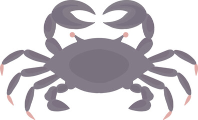 Vector set of zodiac signs. Magic cards. Mystical tarot cards. Retro-vintage engraving in boho style. Phases of the moon.