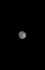 Vertical shot of the full moon in the dark sky