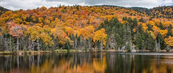 Fototapeta premium Panoramic shot of a pond reflecting an autumn forest, New Hampshire, USA