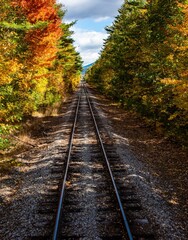 Fototapeta na wymiar New Hampshire Scenic Railroad surrounded by autumn trees with orange leaves