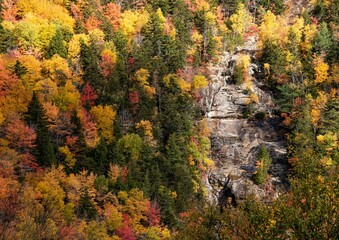 Granite outcrop among lush autumn-colored trees in New Hampshire