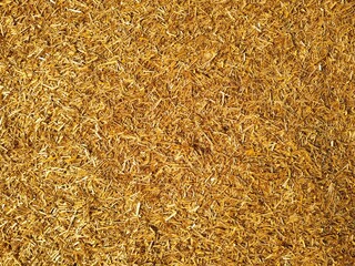 background of straw, close-up of a straw texture