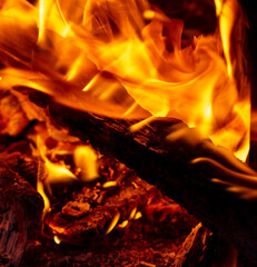 Fototapeta premium Fire flame from wooden firewood. Background.