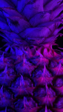 A cinematic close-up vertical video featuring the top of a pineapple where its crown begins, rotating and illuminated by blue and purple lights in a black background.