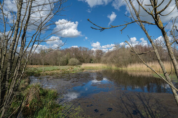 Bishop's Waltham Moors, Hampshire, a 28-sectare site of Special Scientific Interest, under a blue sky with cloud