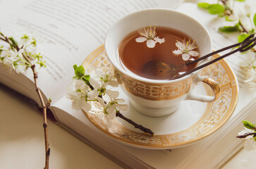Cup of herbal tea with flower