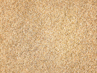 Sand. Texture, surface of sea sand. Natural background. Close-up. View from above. Smooth. Copy space
