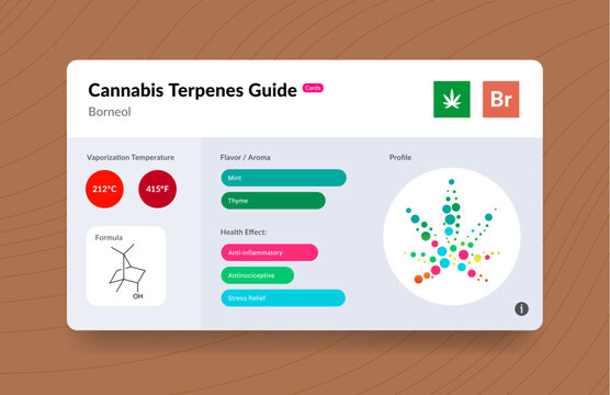 UI Cannabis Terpene Guide Information Chart. Aroma and Flavor with Health Benefits and Vaporize Temperature. Vector.