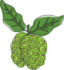 One single line drawing of whole healthy organic noni for orchard logo identity. Fresh tropical fruitage concept for fruit garden icon. Modern continuous line draw design graphic vector illustration