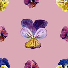 Pattern of colored pansies. watercolor illustration. for textiles, clothing, holiday decoration.