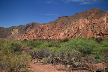 The splendid colors of the Quebrada De Las Conchas, Argentina