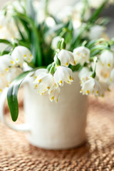 Spring composition with snowdrops in a cup, close-up.