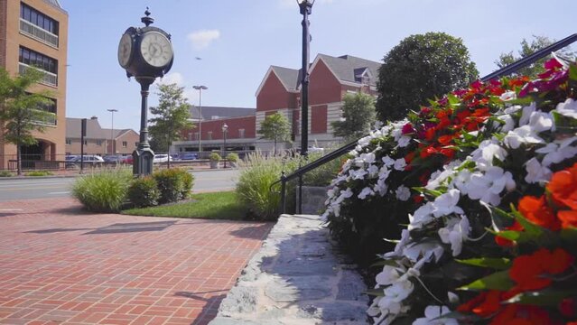 Suburban neighborhood flowers by street in Fairfax Old Town Square Park