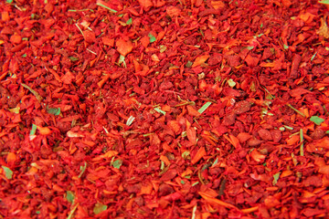 Red chili pepper flakes shot from above. Mix of Spices and herbs background. Various spices selection. Spicy, Sweet pepper red paprika full frame. Empty space for text or label. Turning, rotation