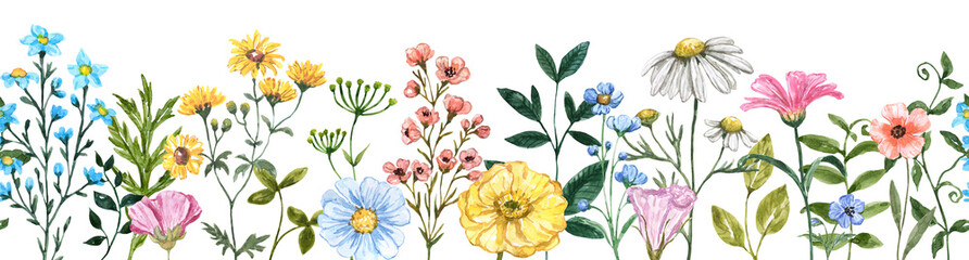 Wildflowers seamless border. Watercolor botanical illustration. Floral frame. Hand-painted graphic. PNG clipart.