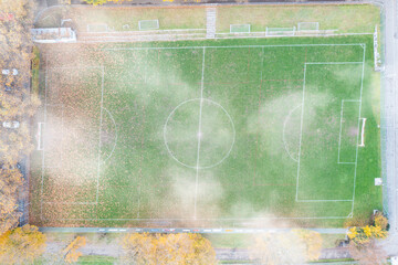 A soccer field viewed from above. A bit misshapen. A lawn robot mows the lawn.