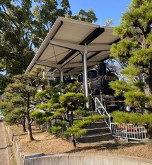 gazebo in the garden