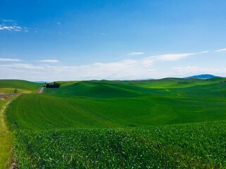 Scenic view of a field covered with green grass on small hills