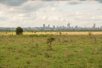 Fototapeta na wymiar Nairobi City skyline seen from Nairobi National Park, Kenya