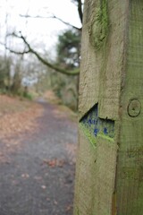 Vertical shot of big directional arrow in the wall in the park on a blurred background