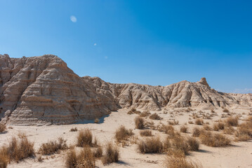 landscape in the desert