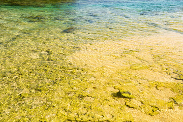 西表島の美しい海