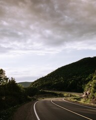 Vertical shot of a winding road passing through a montane forest under a cloudy sky