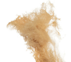 Fototapeta na wymiar Sand flying explosion, Golden grain wave explode. Abstract cloud fly. Yellow colored sand splash throwing in Air. White background Isolated high speed shutter, throwing freeze stop motion