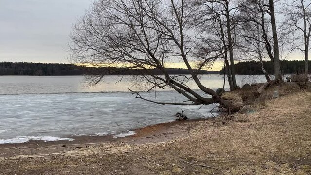 Cold and cloudy spring day at Malar lake or near the Baltic sea. Beach. Great nature and seascape. Stockholm, Sweden, April 2023.