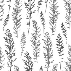 Seamless grassy pattern with gray plant silhouettes on a white background. Design for fabric, cover, packaging, textiles.