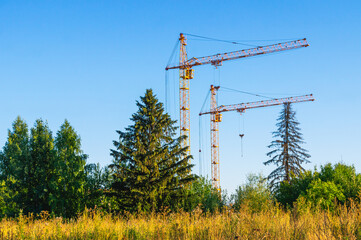 Obraz premium High-rise tower cranes that build houses can be seen behind the trees. Construction of buildings outside the city. Equipment for construction and lifting of large loads with construction materials.