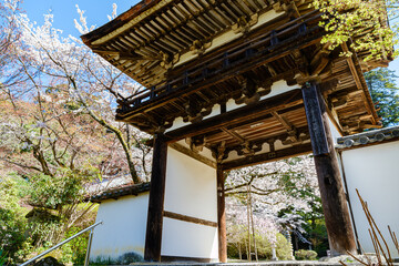 【奈良県】天理市 長岳寺 (2023/03/29撮影)