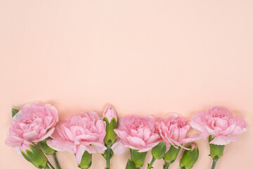 Fototapeta premium 카네이션 꽃과 카피공간