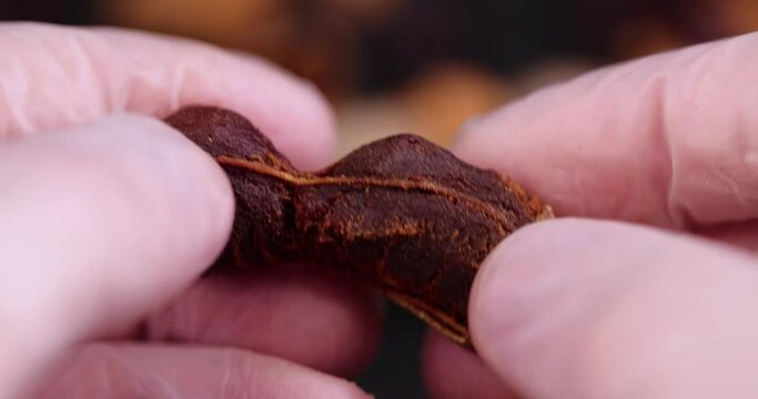 rotate a fresh tamarind fruit with your hand while cooking, a close-up of a tamarind in the kitchen