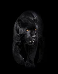 Zelfklevend Fotobehang portrait of a black panther walking toword you in a black background © Effect of Darkness