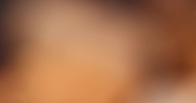 focus on ripe and delicious tamarind pod, close-up of tamarind in the kitchen