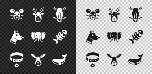 Set Rat head, Deer with antlers, Wild boar, Collar name tag, Rabbit, Whale, Dog and Elephant icon. Vector