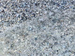 Crushed Shells Run over by Water