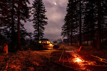 Tourist camping in a fir forest near the sea