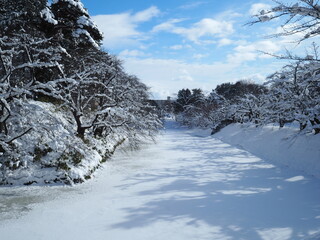 青森県弘前城冬景色