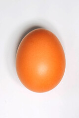 chicken egg isolated on white background