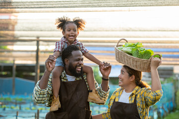 Happy farmer parents dad father with daughter child on piggyback walking fun with mum in garden greenhouse. Black skin dad carry neck riding daughter in vegetable greenhouse garden in light sunset